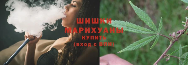 индика Баксан