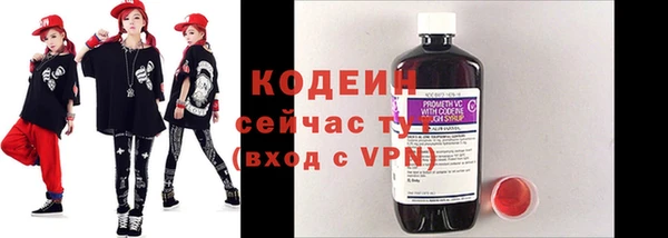 индика Баксан