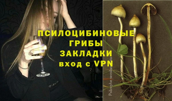 2c-b Армянск