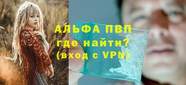 индика Баксан