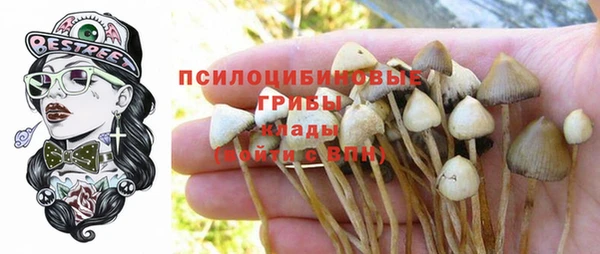 соль курить ск Балабаново