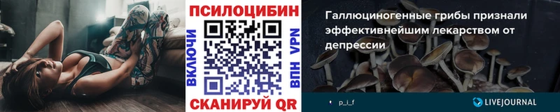 Галлюциногенные грибы Magic Shrooms  купить  сайты  Ступино 
